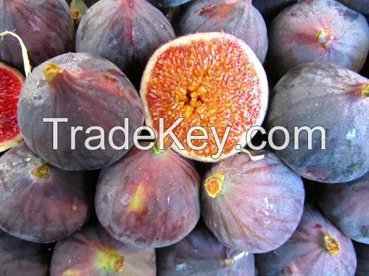 Fresh Fig Fruits