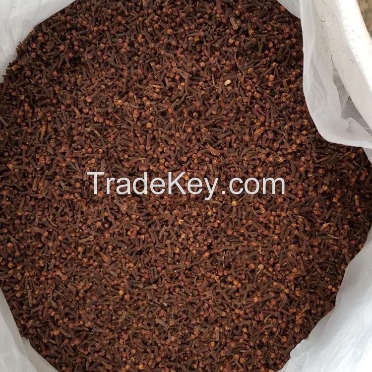 100% QUALITY RAW CLOVES For Sale