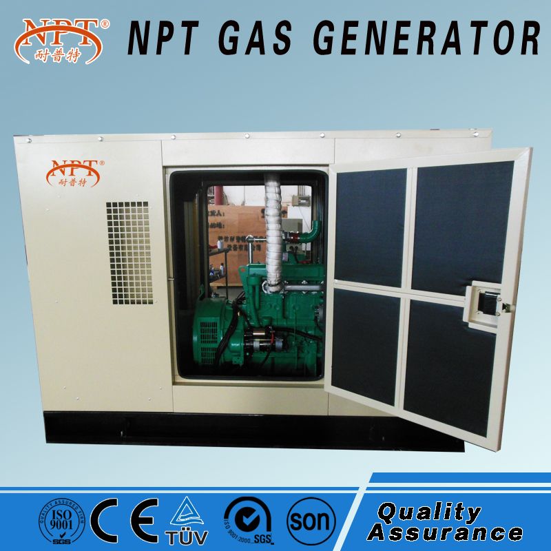 20kW natural gas biogas biomass LPG generator for sale with AC single phase three phase