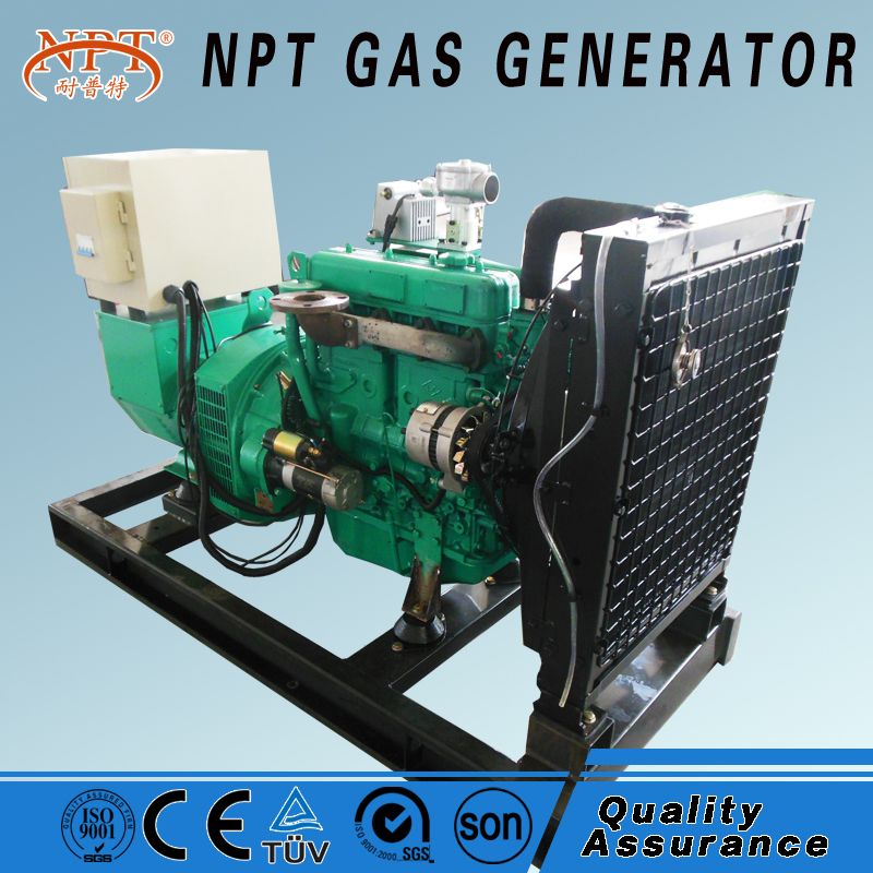 20kW natural gas biogas biomass LPG generator for sale with AC single phase three phase