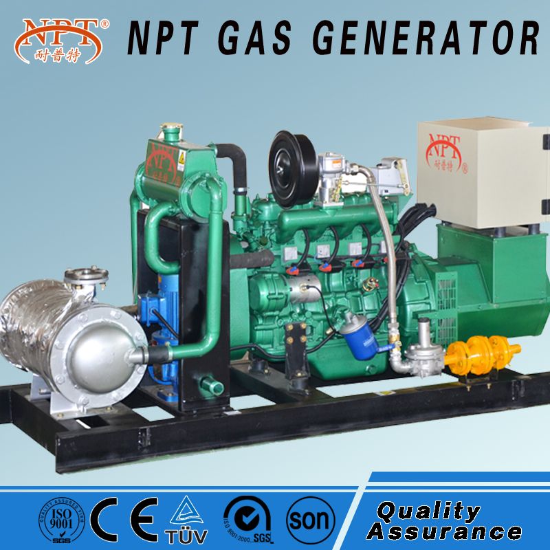 20kW natural gas biogas biomass LPG generator for sale with AC single phase three phase