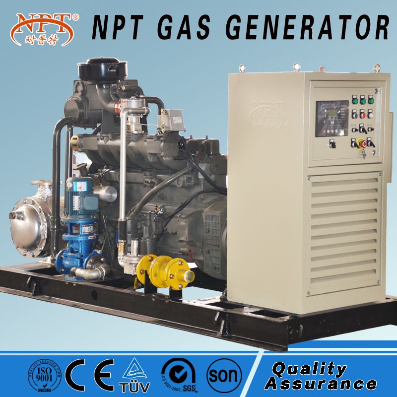 low cost 50kW natural gas biogas generator biomass LPG with CE