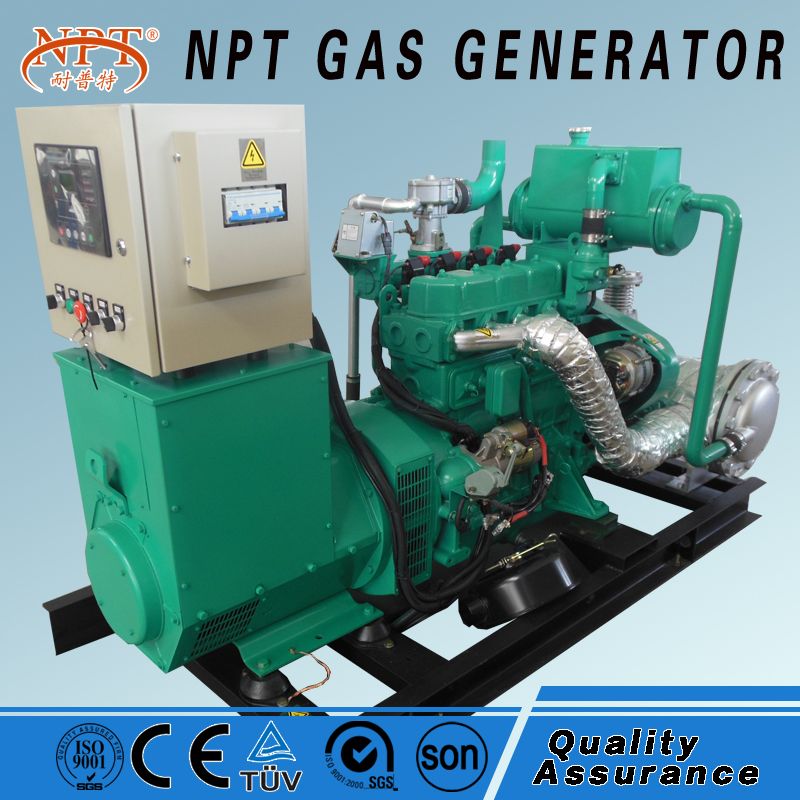 low cost 50kW natural gas biogas generator biomass LPG with CE