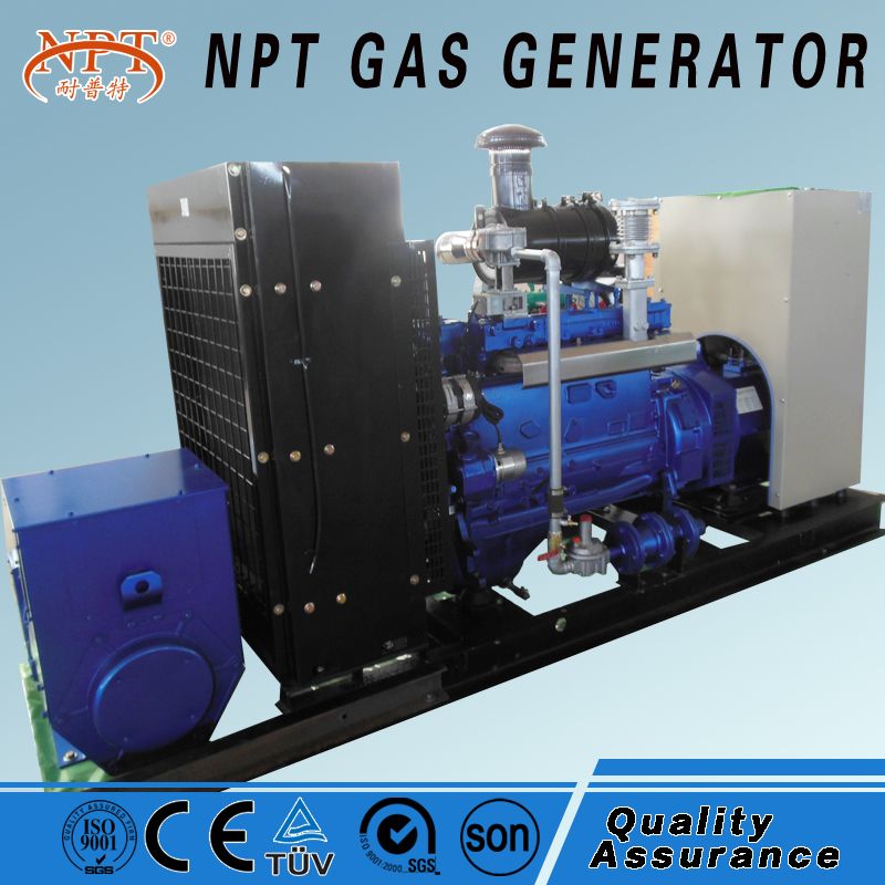 low cost 50kW natural gas biogas generator biomass LPG with CE