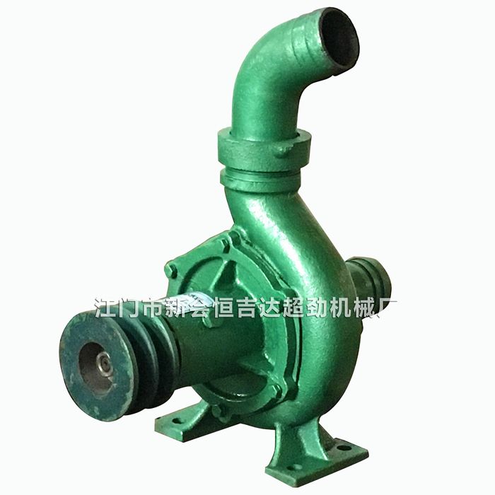 2 inch water pump