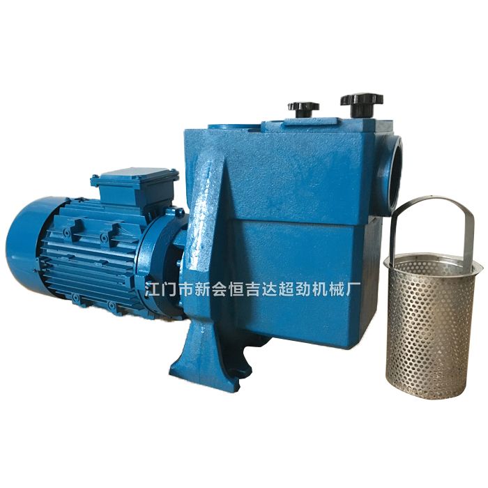 swimming pool pump with filter