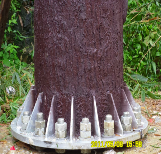 Artificial Royal Palm Tree
