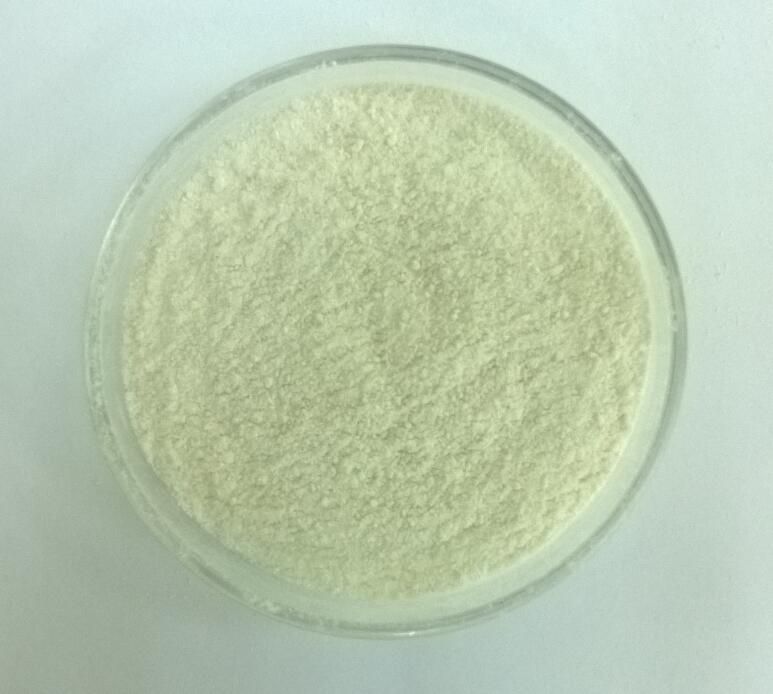 Sodium Carboxymethyl Cellulose CMC 98%