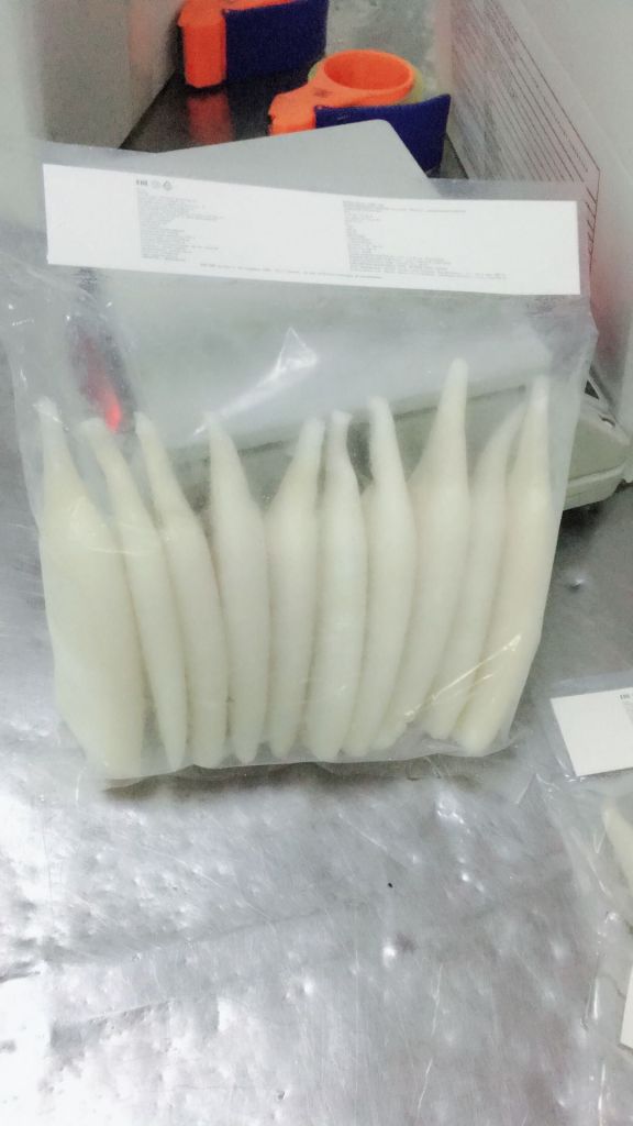 Frozen Todarodes Squid Tubes U/10