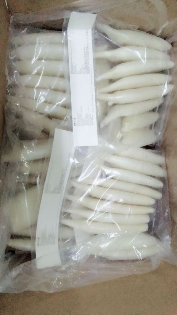 Frozen Todarodes Squid Tubes U/10