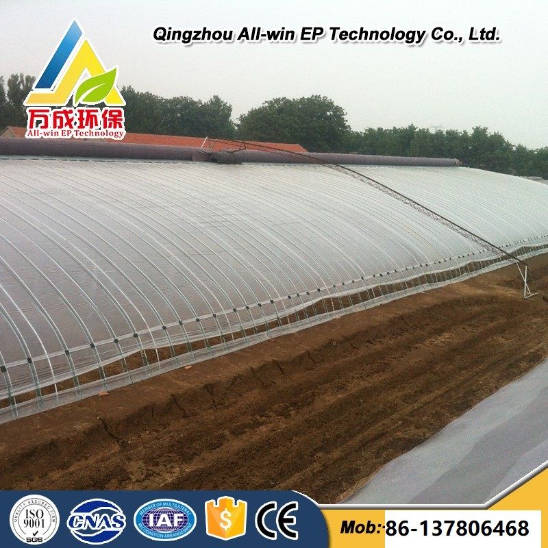 Best Quality Single Arch Film Sunlight Greenhouse