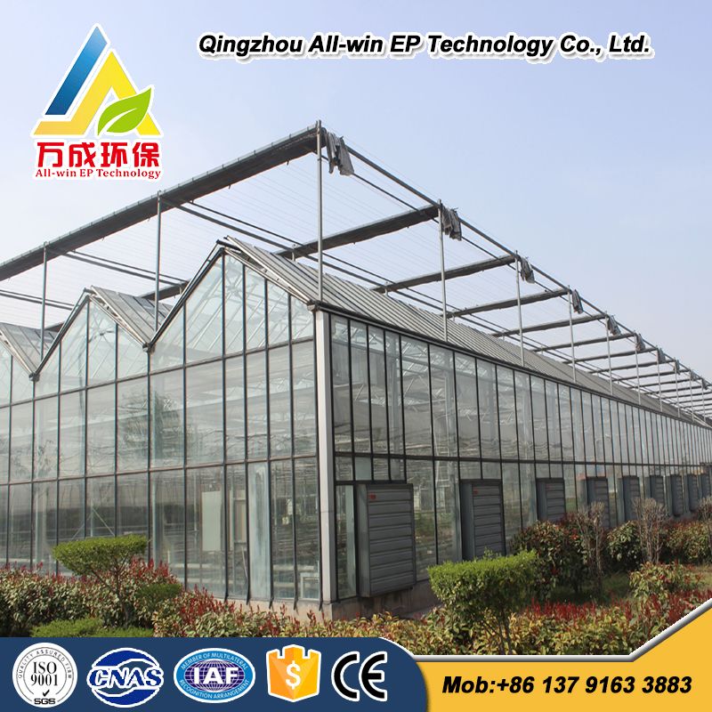 Cheapest beautiful glass cover greenhouse for sale 