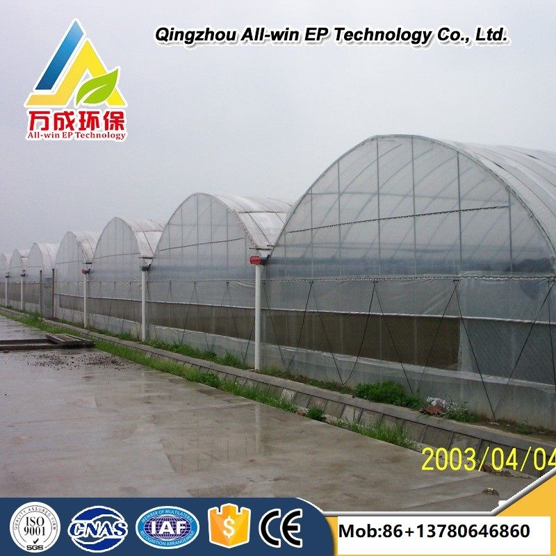 Intelligent agricultural multi-Span plastic film arch Greenhouse