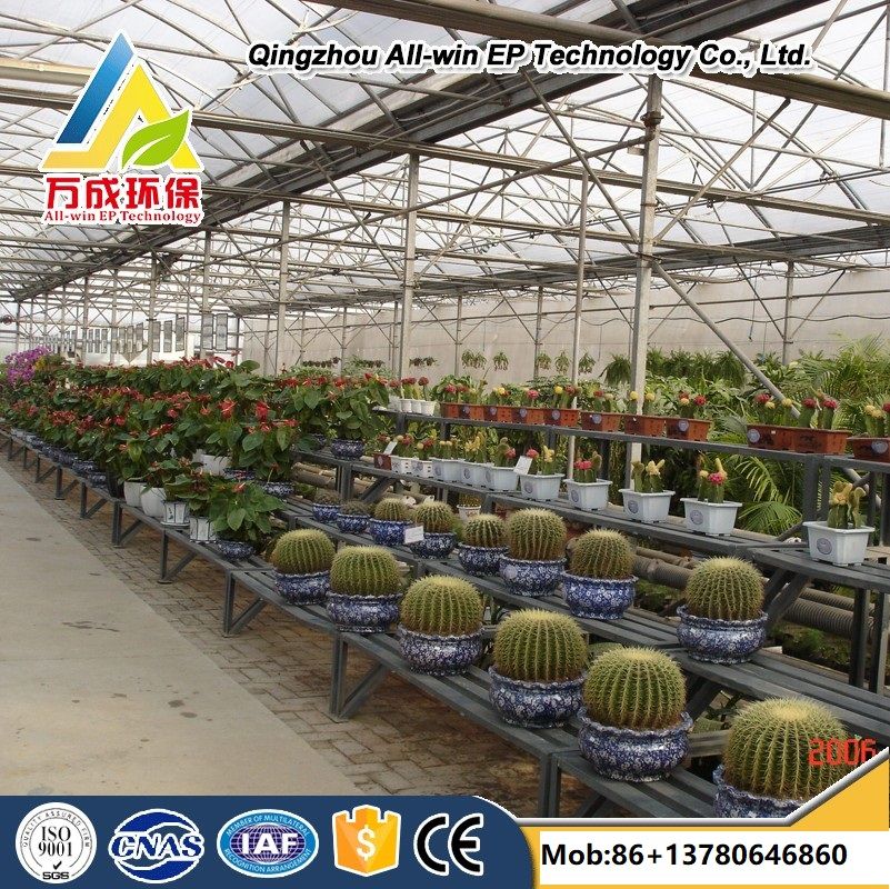 Intelligent agricultural multi-Span plastic film arch Greenhouse