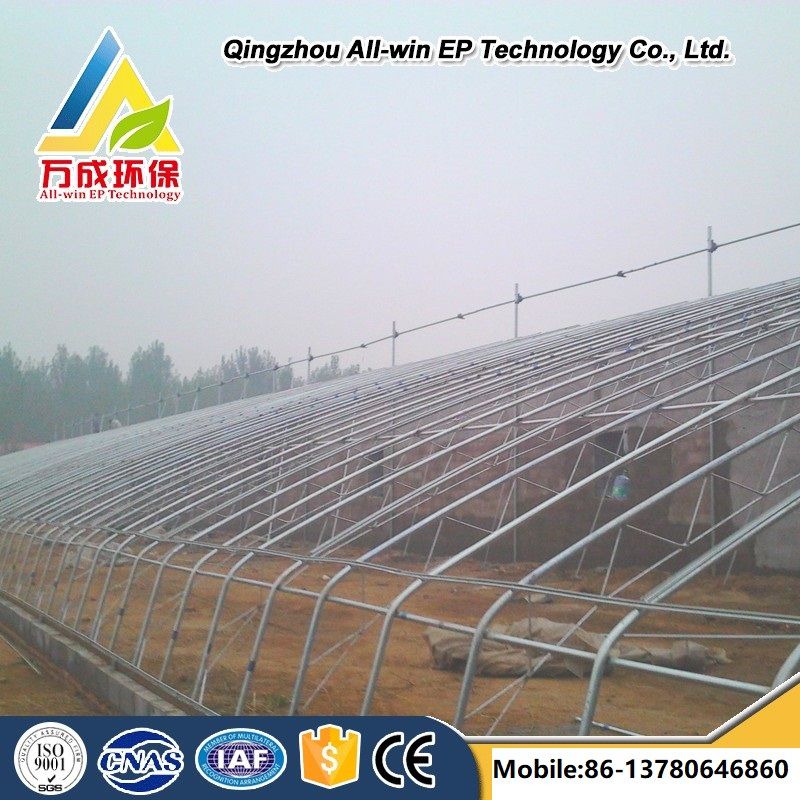 Best Quality Single Arch Film Sunlight Greenhouse