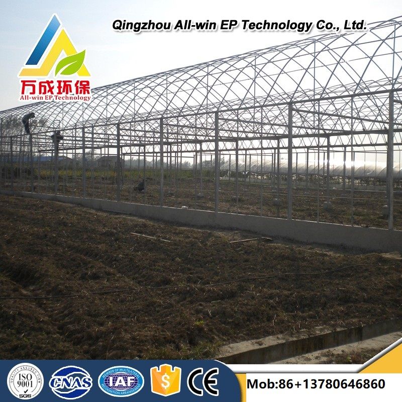 Intelligent agricultural multi-Span plastic film arch Greenhouse