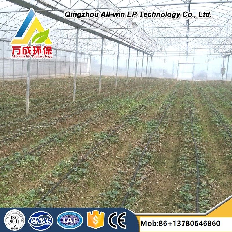 Intelligent agricultural multi-Span plastic film arch Greenhouse