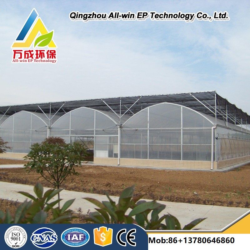 Agriculture low cost commercial gutter connected Multi-Span blackout glass solar greenhouse for sale in China