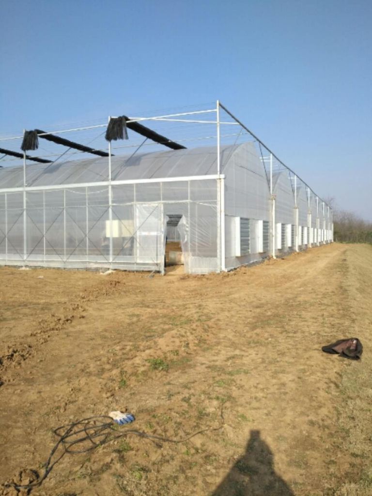 High light transmission plastic multi span arch pipes greenhouse for farm