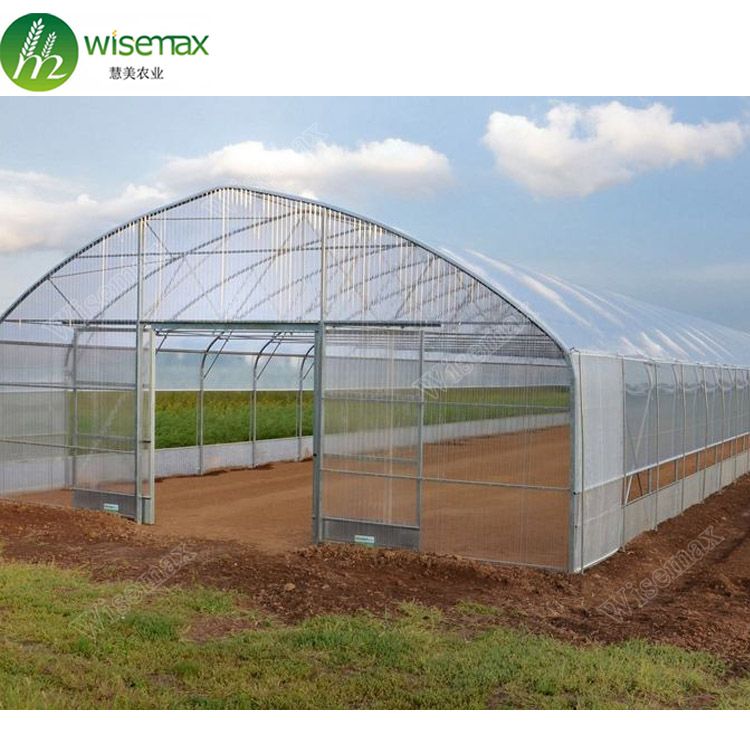 Hot sale tomato vegetable single span invernadero agriculture greenhouse