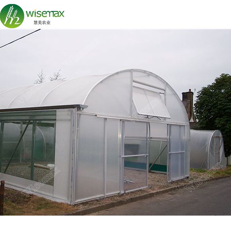 Hot sale tomato vegetable single span invernadero agriculture greenhouse