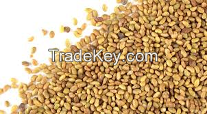 Alfalfa Seeds