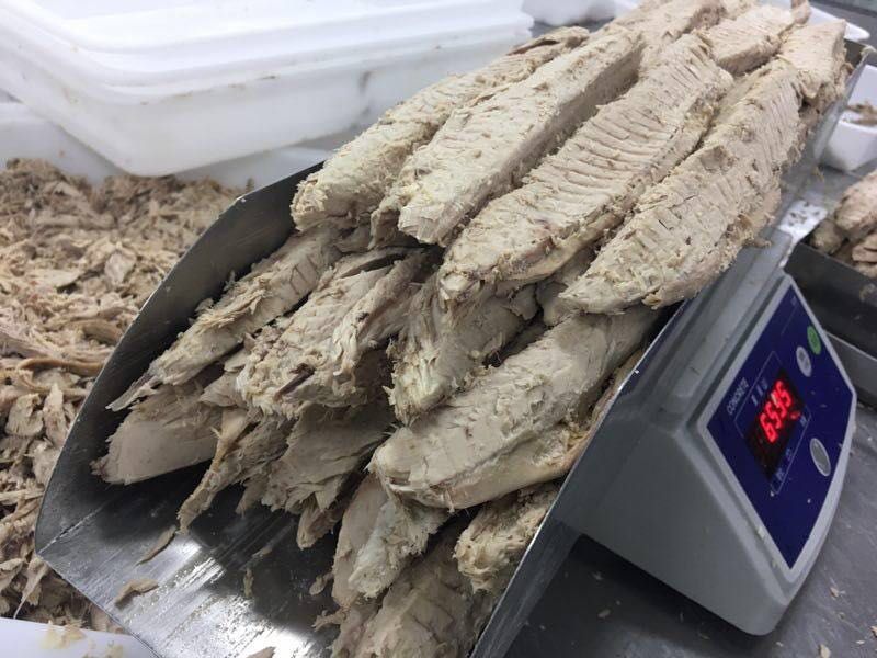 precooked skipjack loins frozen fish 