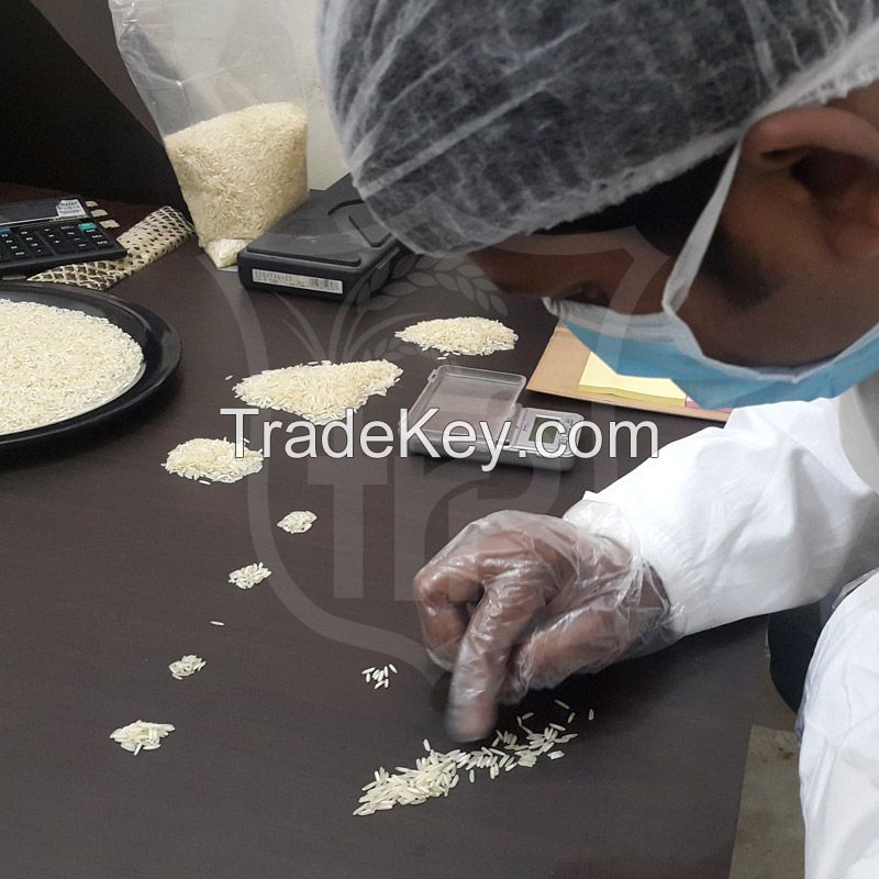 Basmati Rice Inspection