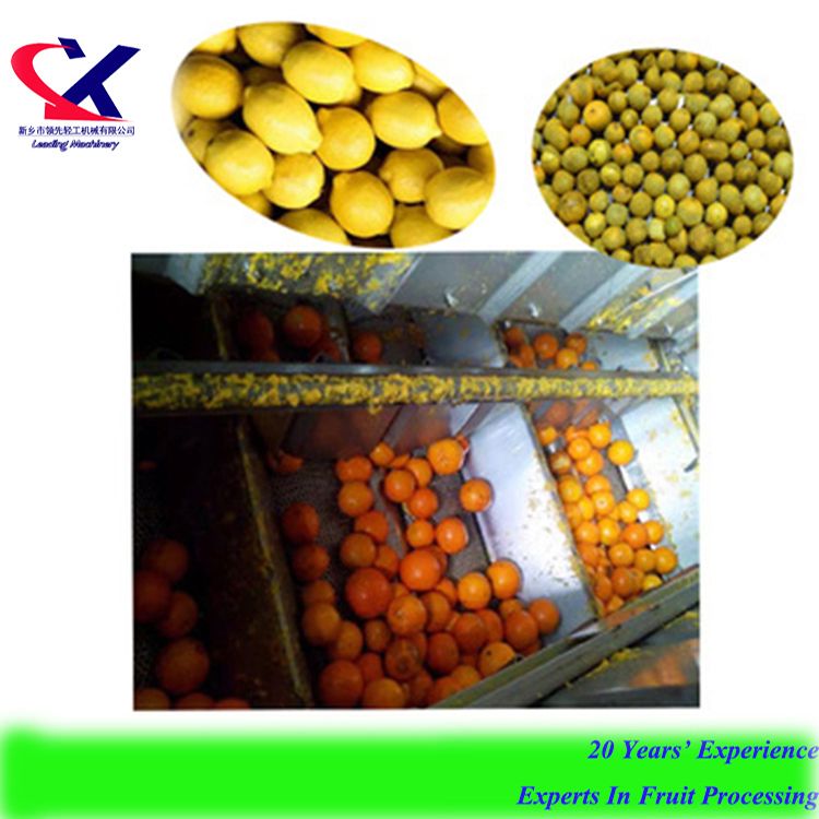 High Quality Automatic Fruit Oil Extracting Oil Milling Machine