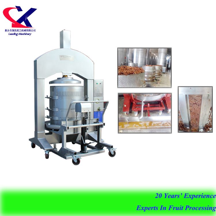 Advanced Vertical Hydraulic Grape Press Machine to Make Grape Wine