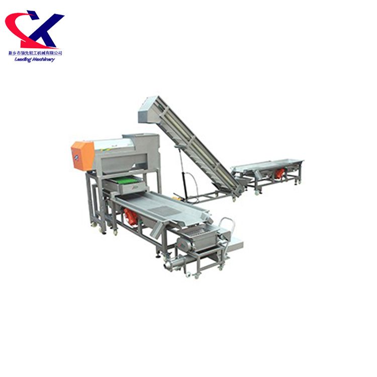 3-5 t/h High Quality Grape Destemming and Selecting Machine