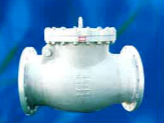 Check Valve