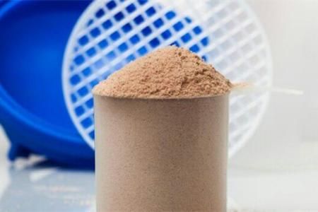 Organic Perilla Seed Protein Powder
