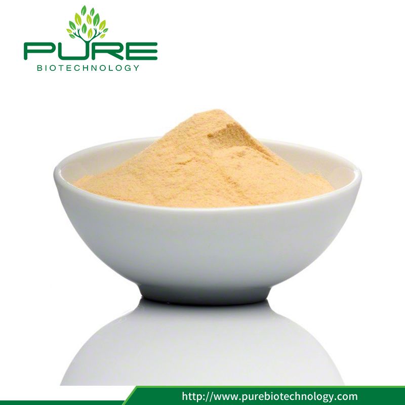 Natural Sea Buckthorn Berry Powder Extract