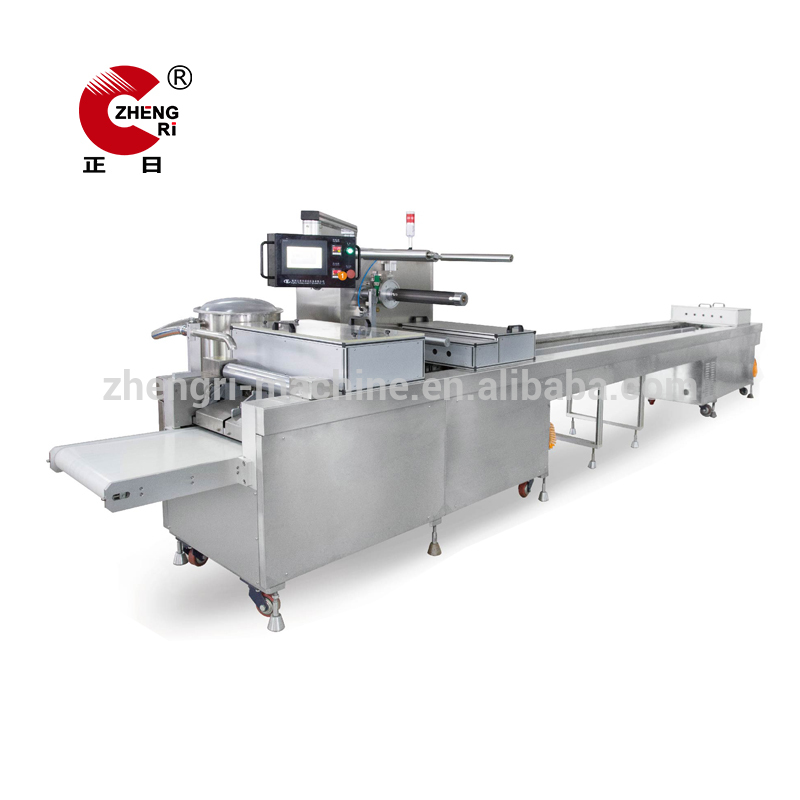 Automatic Disposable Plastic Syringe Paper Blister Packing Machine