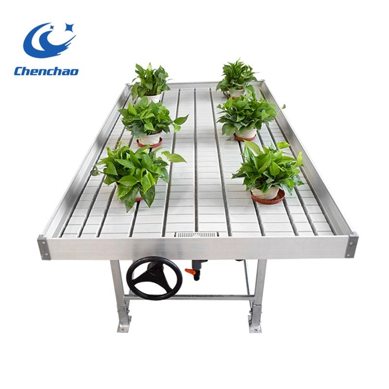 Ebb and flow rolling bench with seeding trays in agriculture