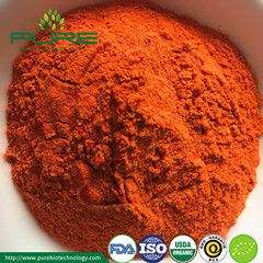 Organic Goji Berry Powder Extract