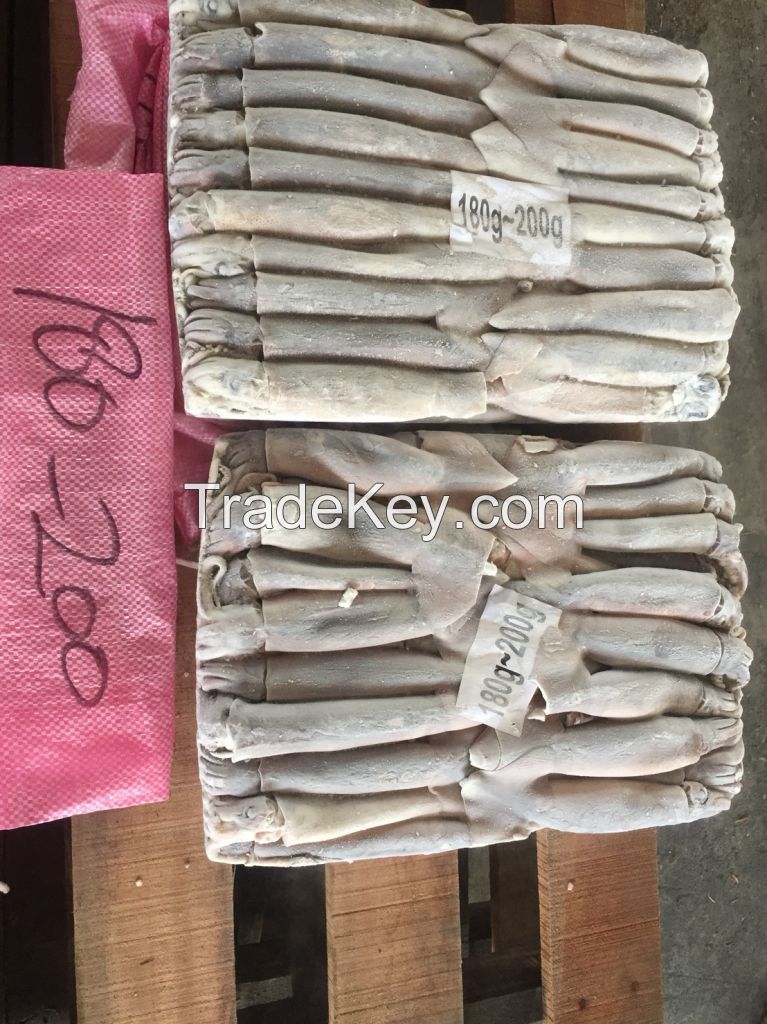 Frozen Illex Squid 180-200g