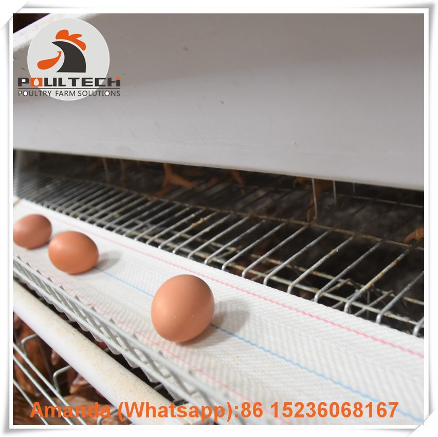 Arabia Poultry Farming Battery Chicken Cage &amp; Layer Cage &amp; Laying Hen Cage &amp; Chicken Coop with Automatic Feeding&amp;Drinking System in Shed