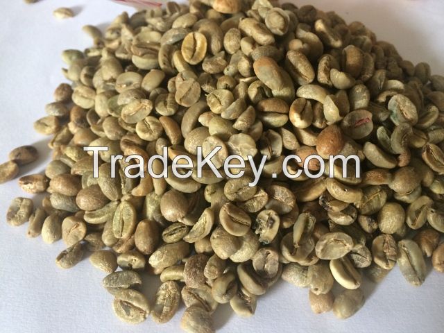 Robusta green coffee beans from Vietnam Factory