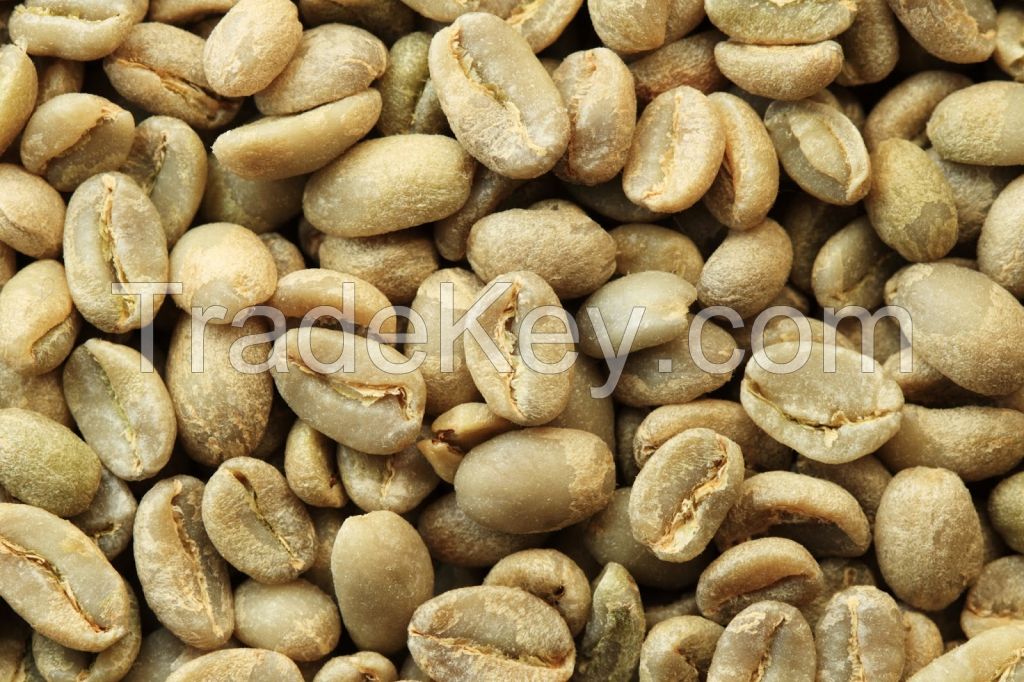 Lowest Price Robusta Coffee Bean Vietnam