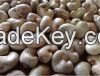 CASHEW NUTS