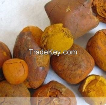 best quality cow and ox gallstones for sale at good price