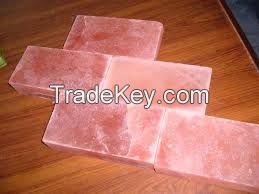 Himalayan Salt Bricks &amp; Tiles