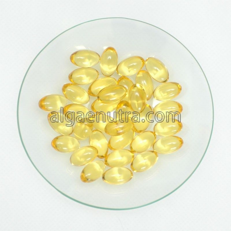 DHA Algae OIL omega-3 food supplement