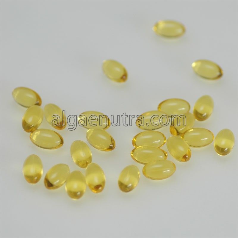 DHA Algae OIL omega-3 food supplement
