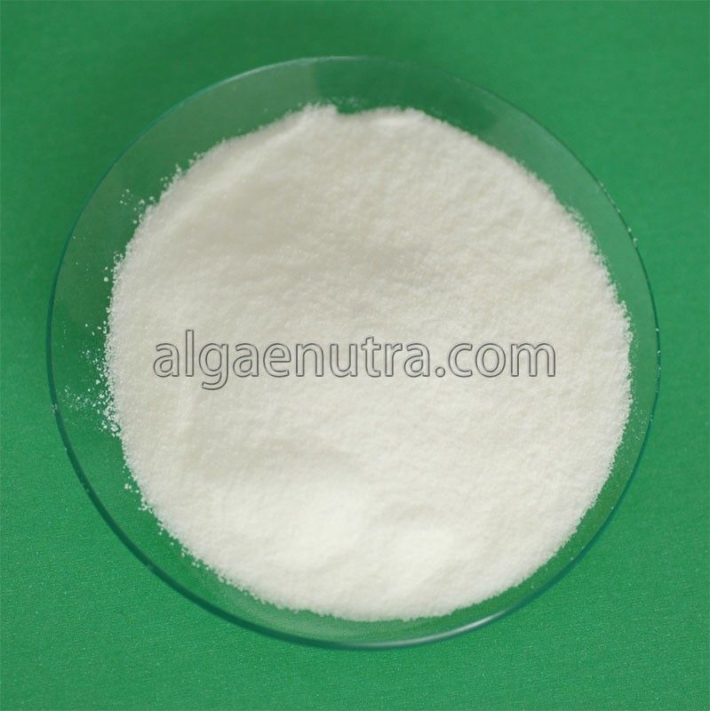 DHA Algae Powder  omega-3 fatty acid  for food additive