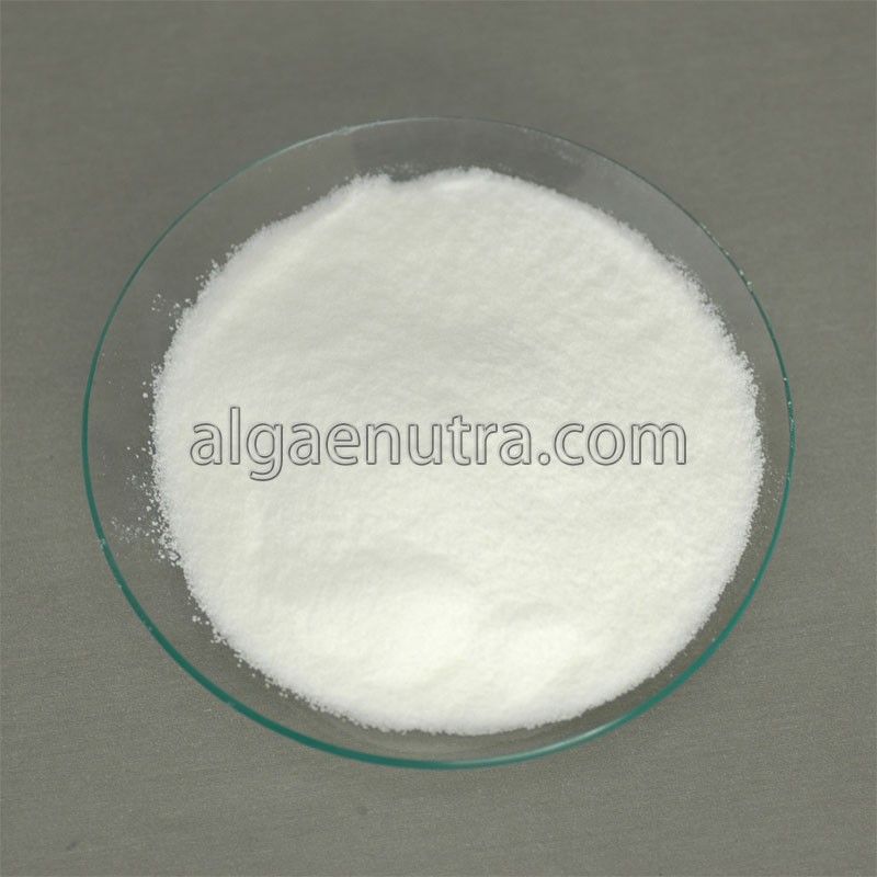 DHA Algae Powder  omega-3 fatty acid  for food additive
