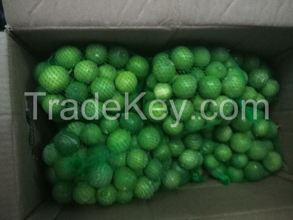 Fresh Lime/ Fresh Lemon for export