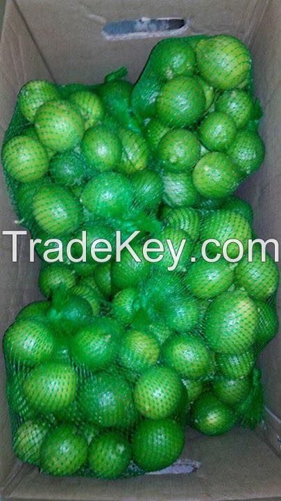 Fresh Lime/ Fresh Lemon for export